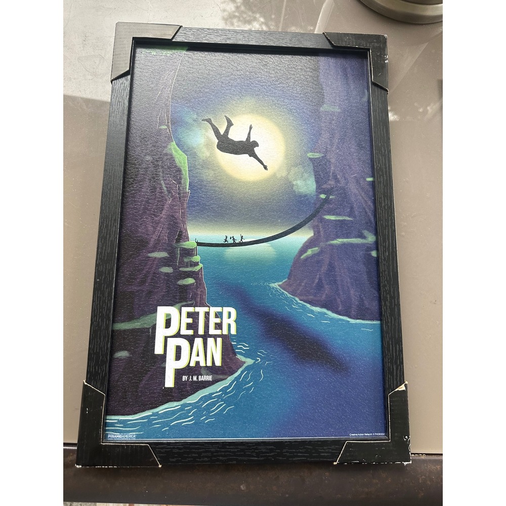 Peter Pan Framed Art Print J‎ M Barrie "Never Grow Up" Fantasy Adventure NIP